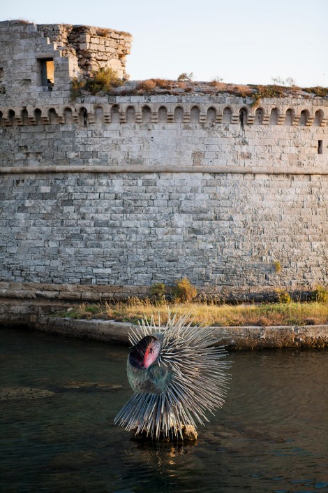 gallipoli-sea-urchin