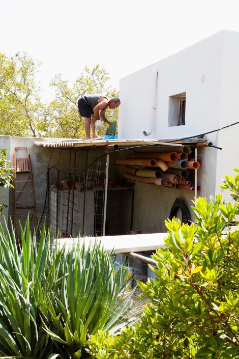 mangia-bene-blog-prickly-pear