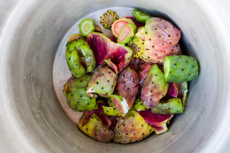 mangia-bene-blog-prickly-pear