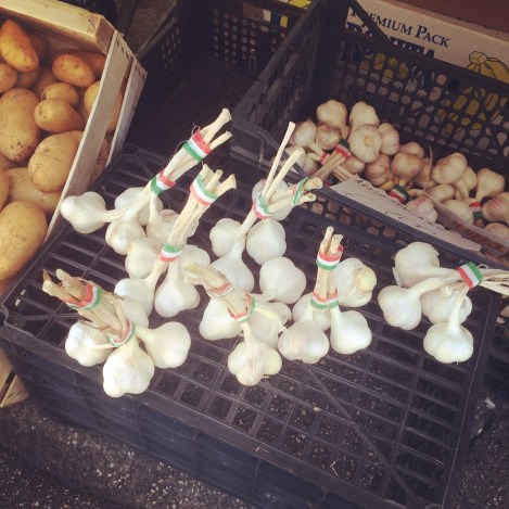 Italy-garlic