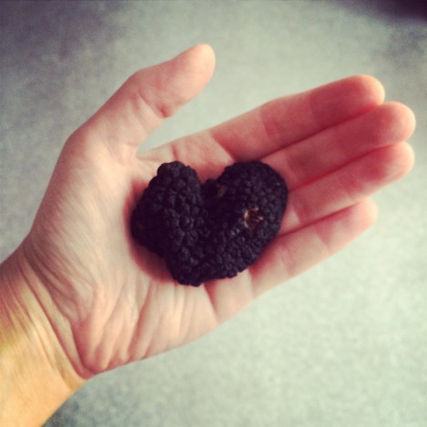 black-truffle