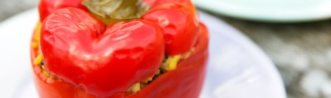 stuffed-pepper-portrait