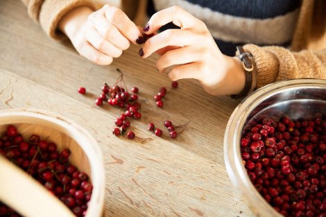 haws-sorting