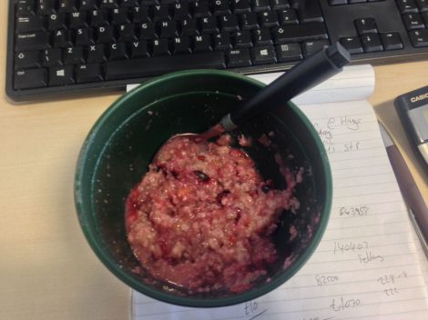 what-vegans-eat-ellie